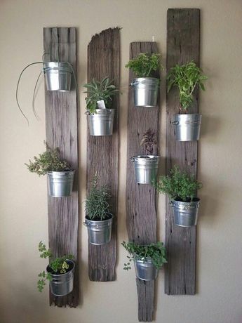 Plantes - petits espaces - inspiration 005